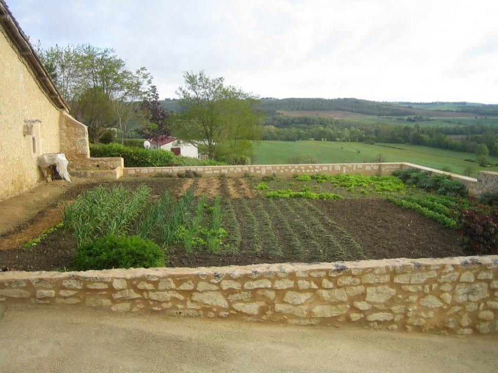 Chambre D'Hotes Domaine Le Castagne Auch Bagian luar foto